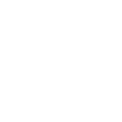 Basket-ball